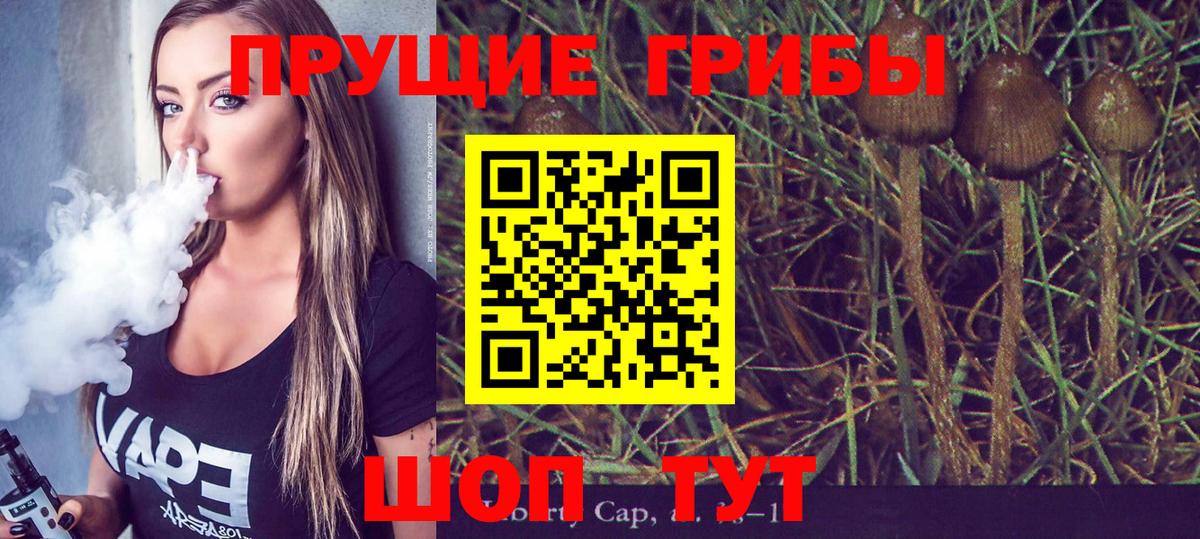 Галлюциногенные грибы Cubensis Нефтекумск