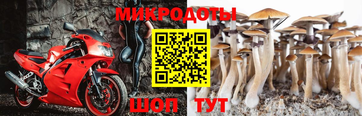 Псилоцибиновые грибы Magic Shrooms  Вход с VPN  Нефтекумск 